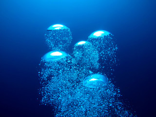 Luftblasen unterwasser