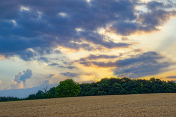 Obraz premium Paysage de campagne au crépuscule