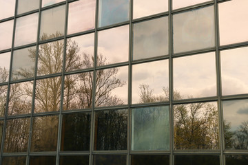 Building. Modern glass building. Trees reflected in the glass windows of the building