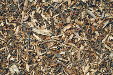 bark wood mulcha chips design nature macro background