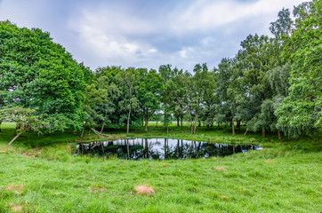 A pond in a grove in Dyrehaven public area north of Copenhagen