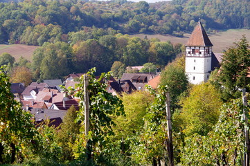Kleines Dorf mit Kirche umgeben von Weinberg und Wald