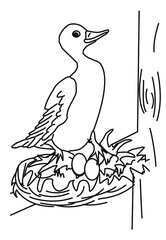 bird on branch