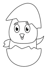 Obraz premium Chiken baby