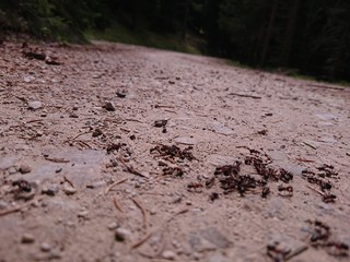 Droga sluzy wszystkim