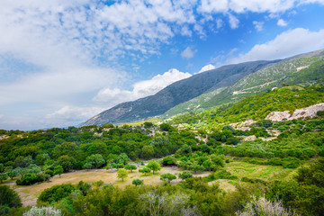 Fototapeta premium Landscape