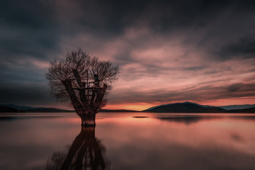 Lake, sunset, tree