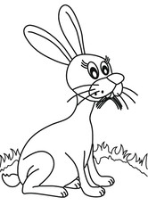 Rabbit outline