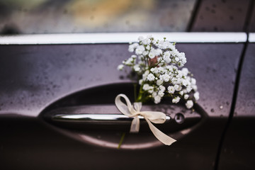 Kwiaty na samochodzie 