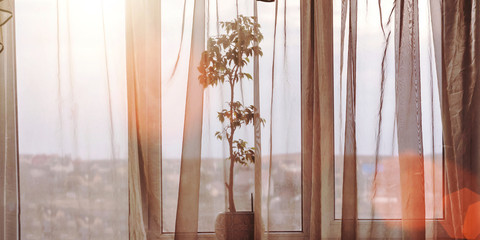 curtain with frill hangs on modern window with plant on sill against sunlight