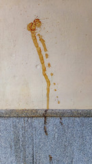 Large Coffee stain on light building wall