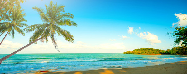 tropical beach with palm trees.Summer background on beach and coconut trees.