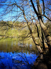 Fototapeta premium Landschaft