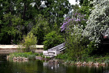 Obraz premium house on the lake