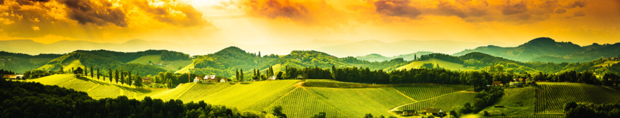 South styria vineyards landscape, near Gamlitz, Austria, Eckberg, Europe. Grape hills view from wine road in spring.