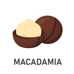 Macadamia Nuts Dietary supplement for health lovers who are full of carbohydrates Isolated on a white background.