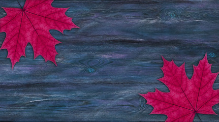 Pink maple leaves on a blue wooden background copy space. Old wooden surface. Dry autumn leaves.