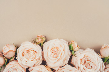 Spring background. Rose flowers on a beige background. Flat lay. Copy space for your text.