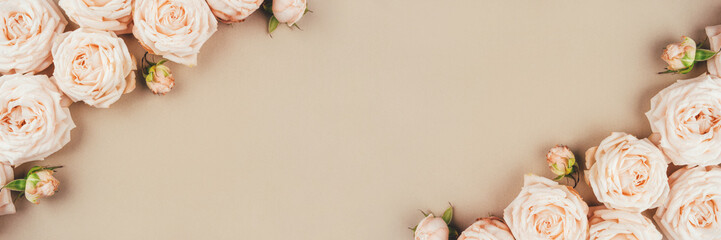 Spring background. Rose flowers on a beige background. Flat lay. Copy space for your text.