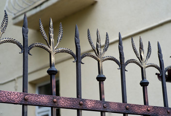 decorative elements of wrought iron fence