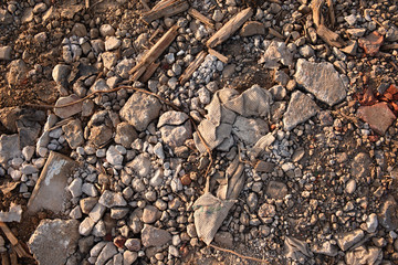 fragments of stones, the texture of nature mixed with garbage, pieces of old fabric, rubbish from wood and dirt lie