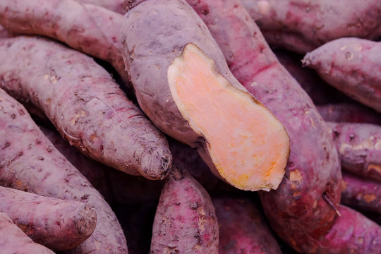 Group of organic sweet potatoes. Healthy fresh potatoes are grown on an organic farm. Royalty high-quality free stock image of vegetables. Food background