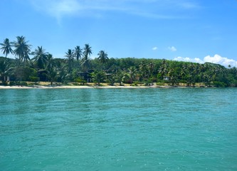 Tropical beach with turquoise water.