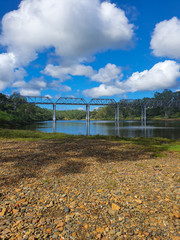 landscape of the river