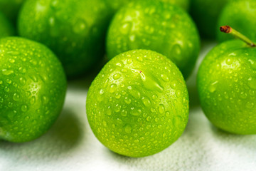 Close-up macro fresh green sour plum. Greengage on white background.