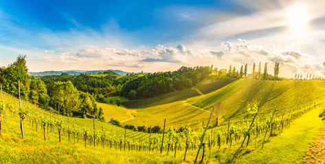 Austria Vineyards Sulztal weinstrasse south Styria tourist spot, wine country