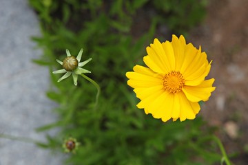 한국 인천시 남동구 인천대공원 입니다