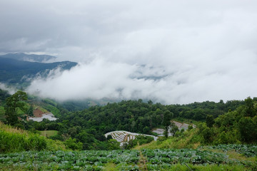 Fototapeta premium Aerial greenery view of hightland and forest hill in cloudy sky with the mist and fog in rainy season on valley mountain in village at countryside of Thailand