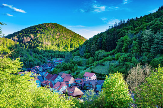 The village view in Harz (Germany)