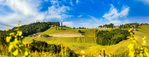  Austria Vineyards Sulztal weinstrasse south Styria tourist spot, wine country © Przemyslaw Iciak