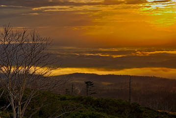 雲海の漂う早朝の峰からの風景。北海道、日本。