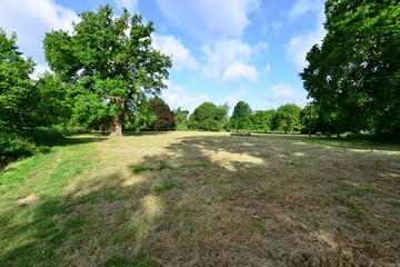 A field and a Meadow in Horley, Surrey, UK.