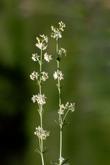 Background image of various colored flower fields