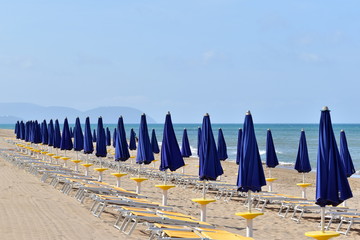 beach umbrellas on the beach