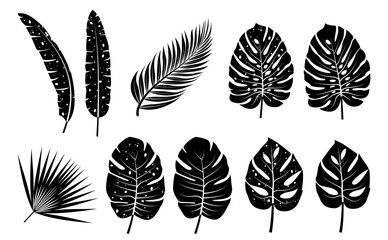 Tropical silhouettes leaves collection. Vector isolated elements on the white background.