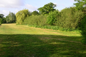 Fototapeta na wymiar A field and a Meadow in Horley, Surrey, UK.
