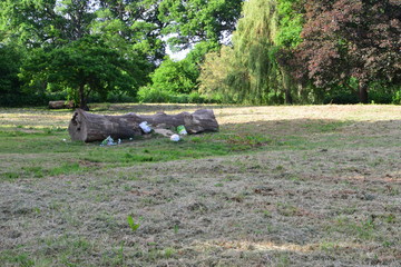 Rubbish left by a log in Horley, Surrey in May 2020