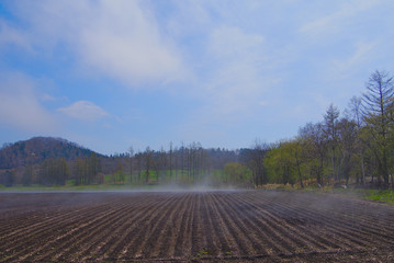 土から蒸気の立ち上る春の朝の畑。北海道、日本。