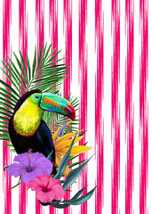 toucan on a tree branch and red 
stripes