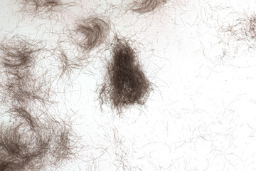 Hair cut off on white floor in  barbershop. Cropped hair as background or texture. 