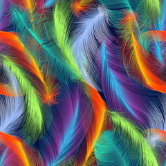 coloured feathers