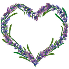 Illustration of lavender flowers. Watercolor and crayons