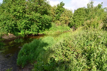 Fototapeta premium The River Mole in May in Horley in Surrey.