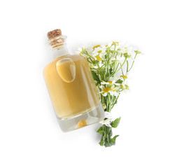 Bottle of essential oil and fresh chamomiles isolated on white, top view