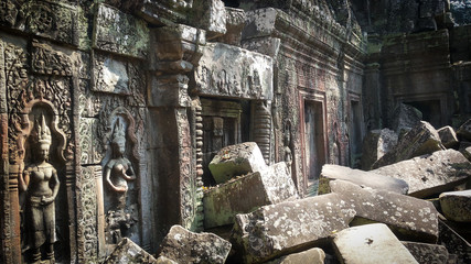Ruins of the Ta Prohm temple in Cambodia. Amazing trees