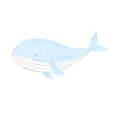Watercolor little whale on a white background  In a soft and cute drawing style for use in children's books or storytelling and Tale.